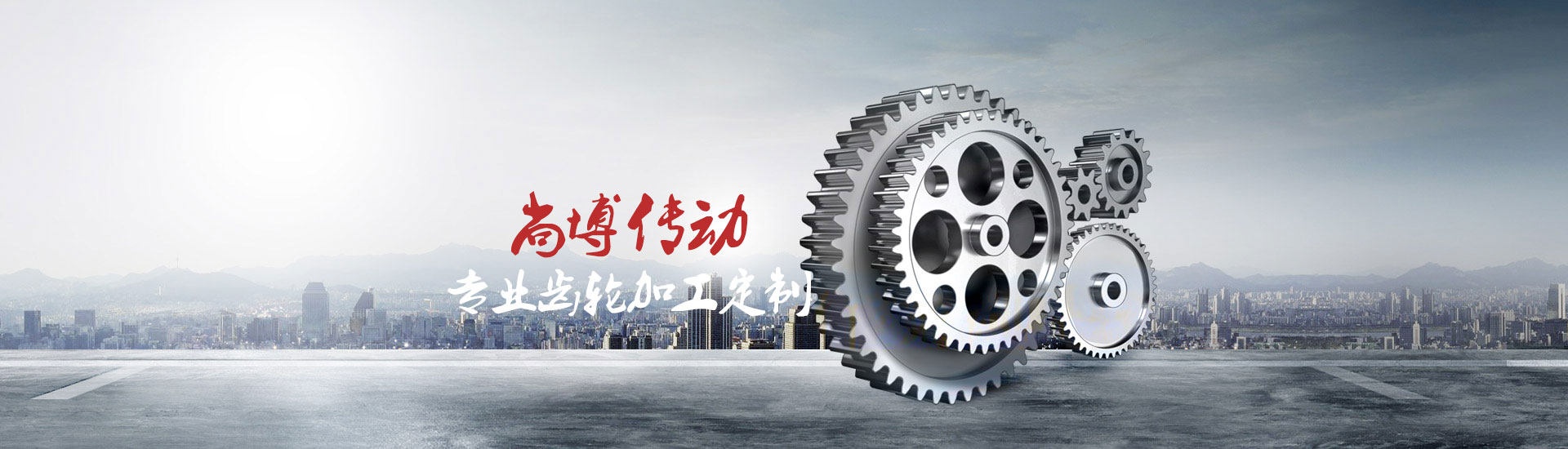 尚博傳動(dòng) 專業(yè)齒輪定制